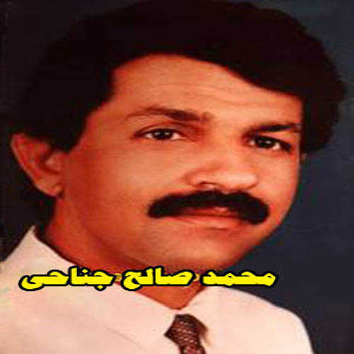 محمد صالح جناحی زیبا بو